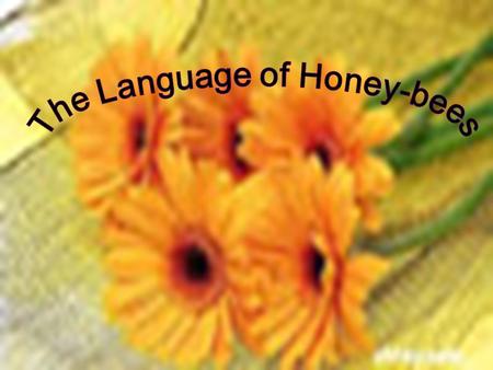 Discussion How do people communicate with each other? The way people use to communicate with each other : Spoken language Written language Body language.