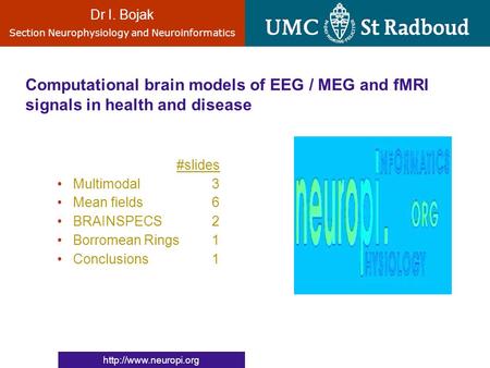 Dr I. Bojak Section Neurophysiology and Neuroinformatics  Computational brain models of EEG / MEG and fMRI signals in health and.