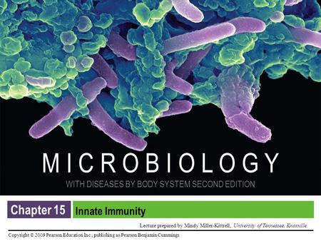 Chapter 15 Innate Immunity.