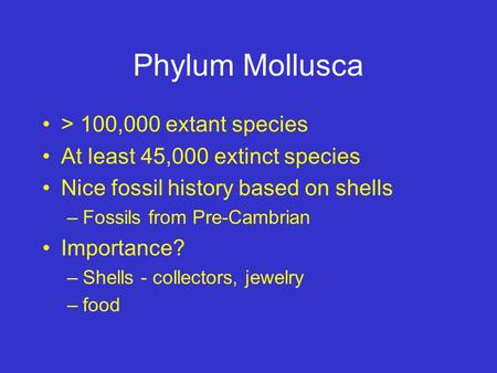 Phylum Mollusca > 100,000 extant species