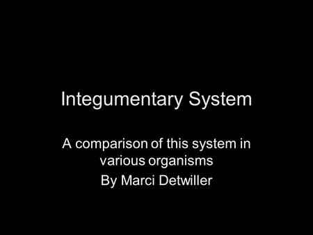 Integumentary System A comparison of this system in various organisms By Marci Detwiller.