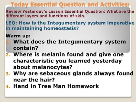 Today Essential Question and Activities: Review Yesterday’s Lesson Essential Question: What are the different layers and functions of skin. LEQ: How is.