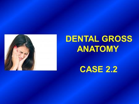 DENTAL GROSS ANATOMY CASE 2.2.