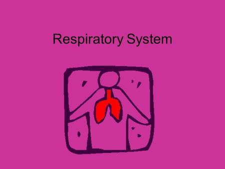 Respiratory System.