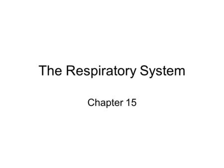 The Respiratory System