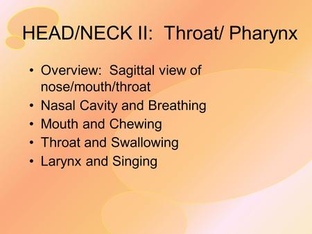 HEAD/NECK II: Throat/ Pharynx