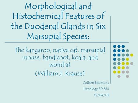 Morphological and Histochemical Features of the Duodenal Glands in Six Marsupial Species: The kangaroo, native cat, marsupial mouse, bandicoot, koala,