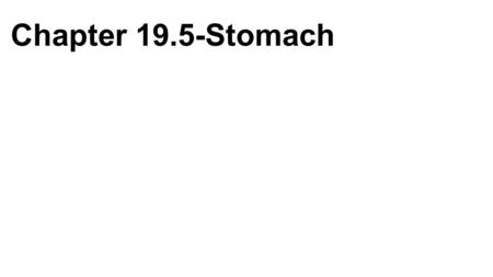 Chapter 19.5-Stomach. Four Regions 1)Cardia 2)Fundus 3)Body 4)Pylorus -Pyloric sphincter CARDIA BODY FUNDUS PYLORUS Pyloric sphincter Rugae of mucosa.