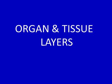 ORGAN & TISSUE LAYERS.