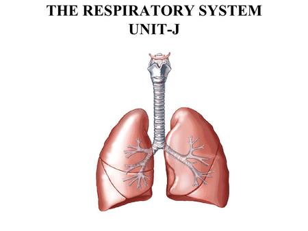 THE RESPIRATORY SYSTEM UNIT-J. Objectives: 1. Describe the structure of the Respiratory System 2. Analyze the function of the Respiratory System 3. Identify.