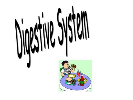 Digestive System.