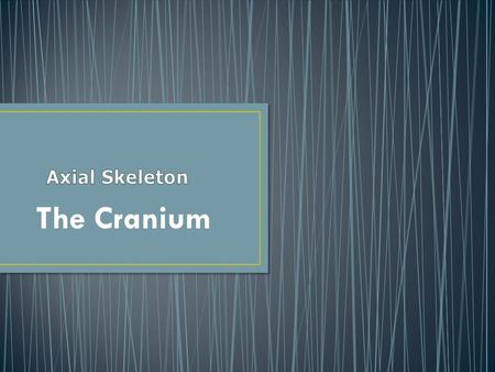 The Cranium. Made up of 22 bones Except for the mandible, all of the bones are held together by sutures Rigid articulations permitting very little movement.