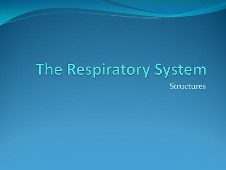 The Respiratory System