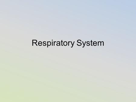 Respiratory System.