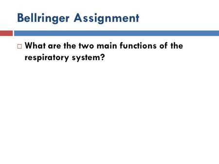 Bellringer Assignment