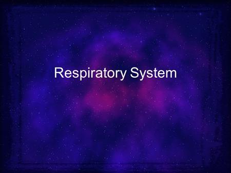 Respiratory System.