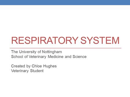 Respiratory System The University of Nottingham