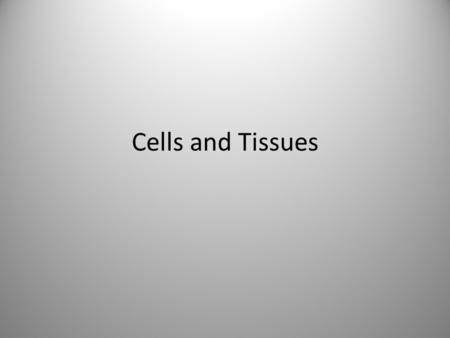 Cells and Tissues. Rough Endoplasmic Reticulum Nuclear Membrane Chromatin Peroxisome Lysosome Smooth Endoplasmic Reticulum Mitochondria Cell Membrane.