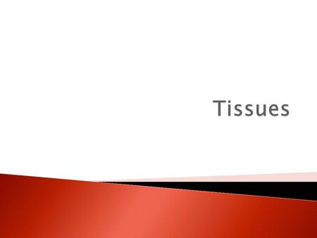 1. Epithelial – covering & lining 2. Connective – support 3. Muscle - movement 4. Nervous - control.