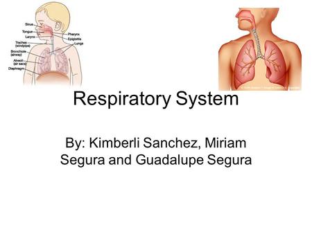 By: Kimberli Sanchez, Miriam Segura and Guadalupe Segura