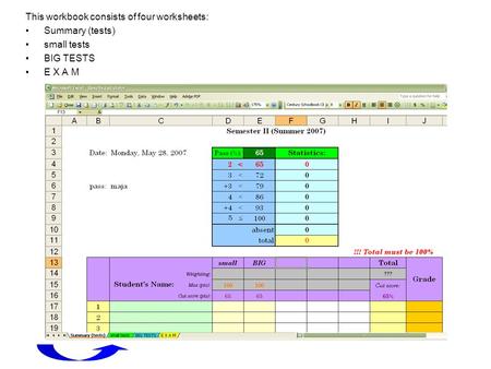 This workbook consists of four worksheets: Summary (tests) small tests BIG TESTS E X A M.