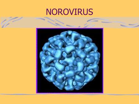 NOROVIRUS.