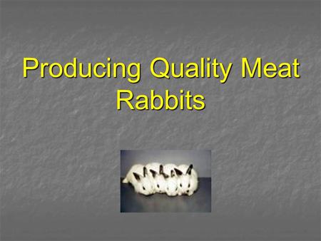 Producing Quality Meat Rabbits