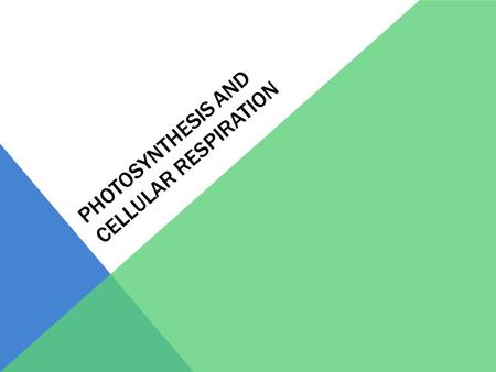 PHOTOSYNTHESIS AND CELLULAR RESPIRATION. PHOTOSYNTHESIS.