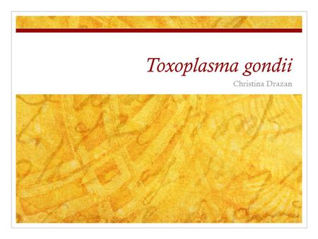 Toxoplasma gondii Christina Drazan. Geographic Distribution Worldwide, one of the most common human infections More common in warm climates High prevalence.