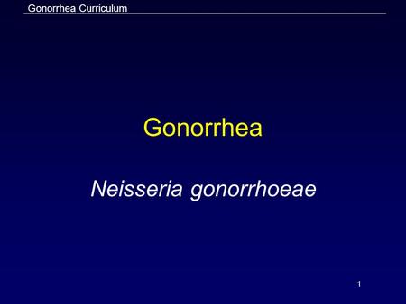 Neisseria gonorrhoeae