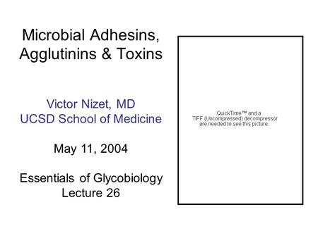 Microbial Adhesins, Agglutinins & Toxins