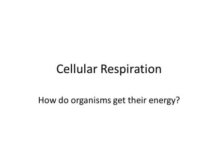 How do organisms get their energy?