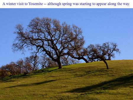 A winter visit to Yosemite -- although spring was starting to appear along the way.