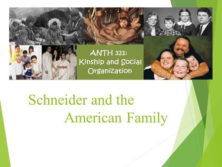 Schneider and the American Family