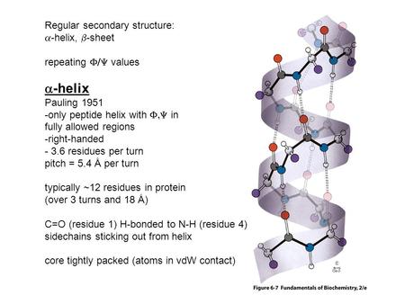 Regular secondary structure:  -helix,  -sheet repeating  values  -helix Pauling 1951 -only peptide helix with  in fully allowed regions -right-handed.