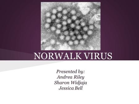 NORWALK VIRUS Presented by: Andrea Riley Sharon Widjaja Jessica Bell.