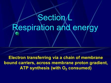 Section L Respiration and energy Electron transferring via a chain of membrane bound carriers, across membrane proton gradient, ATP synthesis (with O 2.