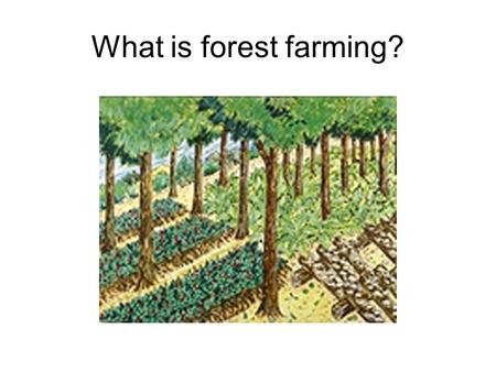 What is forest farming?. Forest farming is the intentional manipulation of forest lands to produce a regular supply of food, medicinal, ornamental, and.