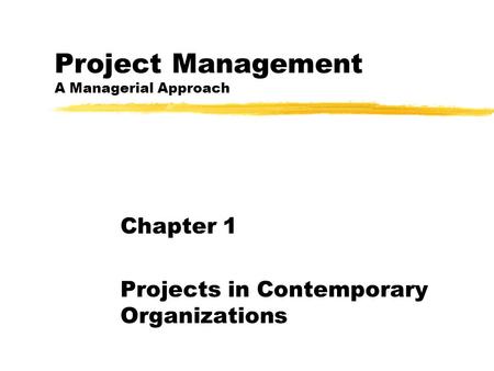 Project Management A Managerial Approach