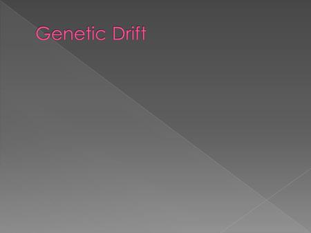  Genetic drift causes allele frequencies to change in populations  Alleles are lost more rapidly in small populations.