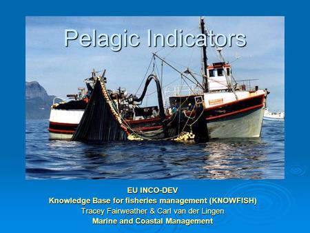 Pelagic Indicators EU INCO-DEV Knowledge Base for fisheries management (KNOWFISH) Tracey Fairweather & Carl van der Lingen Marine and Coastal Management.