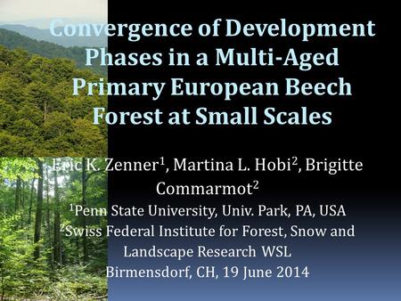 Convergence of Development Phases in a Multi-Aged Primary European Beech Forest at Small Scales Eric K. Zenner 1, Martina L. Hobi 2, Brigitte Commarmot.