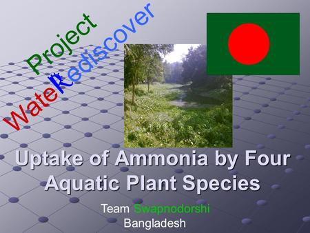 Uptake of Ammonia by Four Aquatic Plant Species Project Wate R ediscover Team Swapnodorshi Bangladesh.