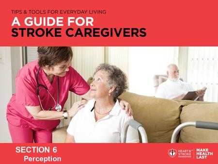 SECTION 6 Perception. 2 ► Explaining perception ► Perceptual problems after stroke ► Strategies for helping the survivor with perceptual problems 3.