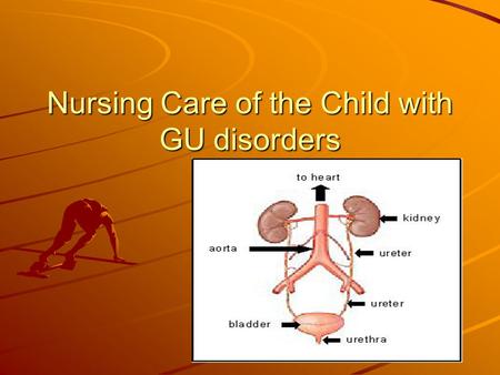 Nursing Care of the Child with GU disorders