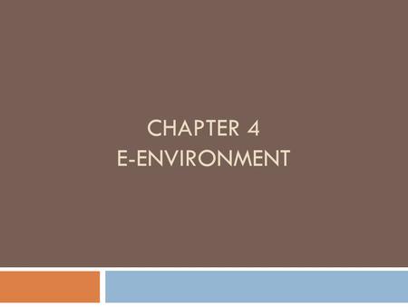 CHAPTER 4 E-ENVIRONMENT