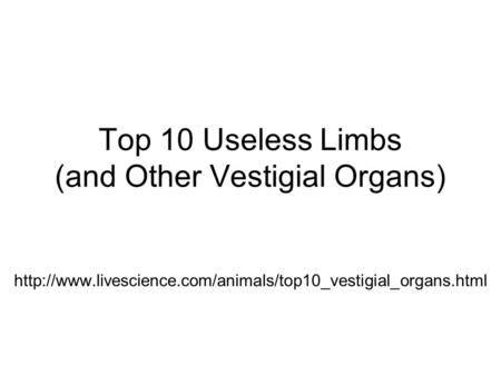 Top 10 Useless Limbs (and Other Vestigial Organs)