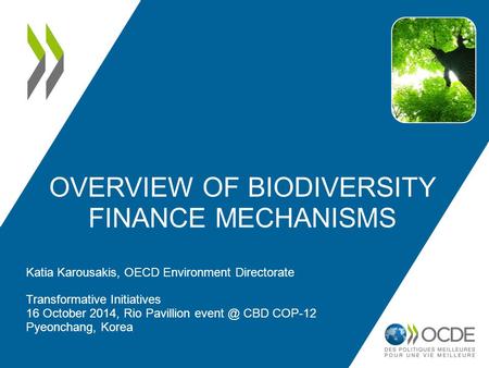 OVERVIEW OF BIODIVERSITY FINANCE MECHANISMS Katia Karousakis, OECD Environment Directorate Transformative Initiatives 16 October 2014, Rio Pavillion event.