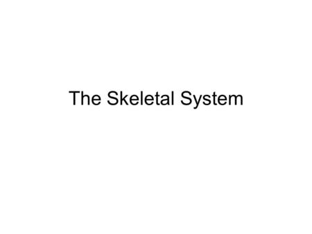 The Skeletal System.