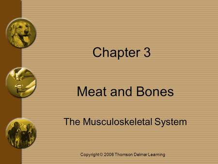 Copyright © 2006 Thomson Delmar Learning Chapter 3 Meat and Bones The Musculoskeletal System.